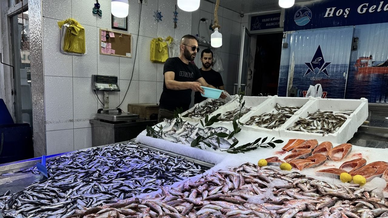 Hamsi Avında Erken Başlangıç Balıkçıları Sevindiriyor