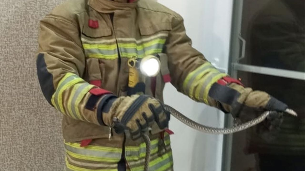 Hatay'da Yılan Çilesi: İtfaiye Ekipleri Müdahale Etti