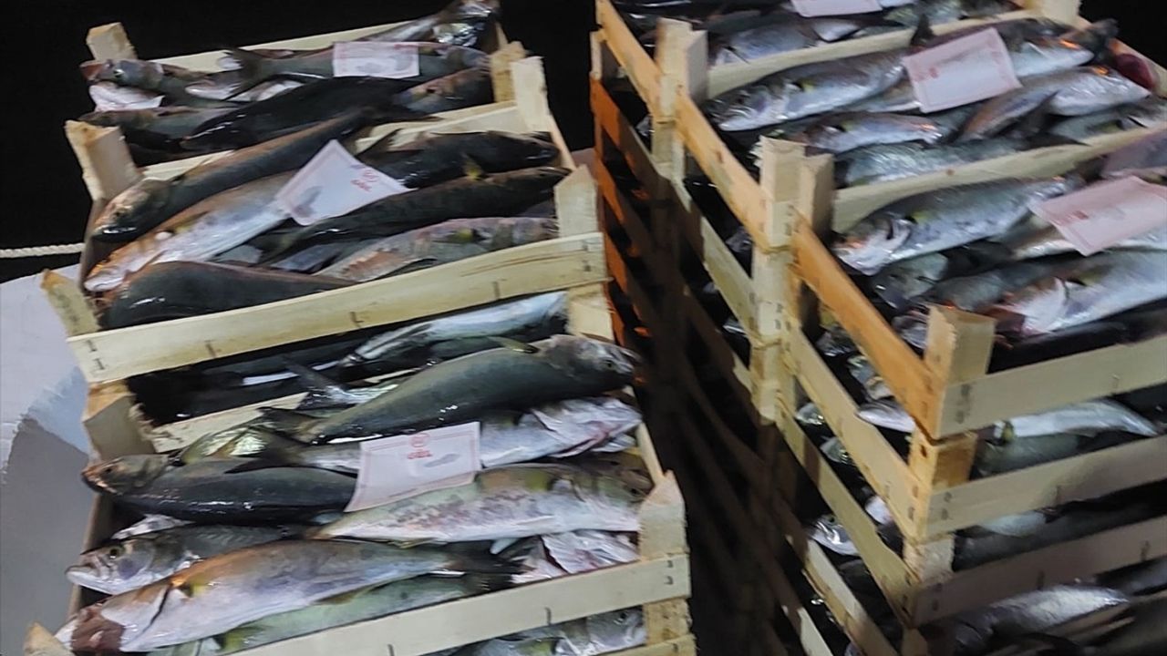 İğneada Beldesi'nde Lüfer Avının Bereketi