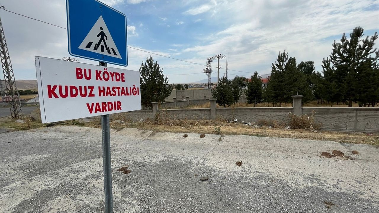 Kars'ın Digor İlçesinde Kuduz Karantinası Uygulaması Başlatıldı