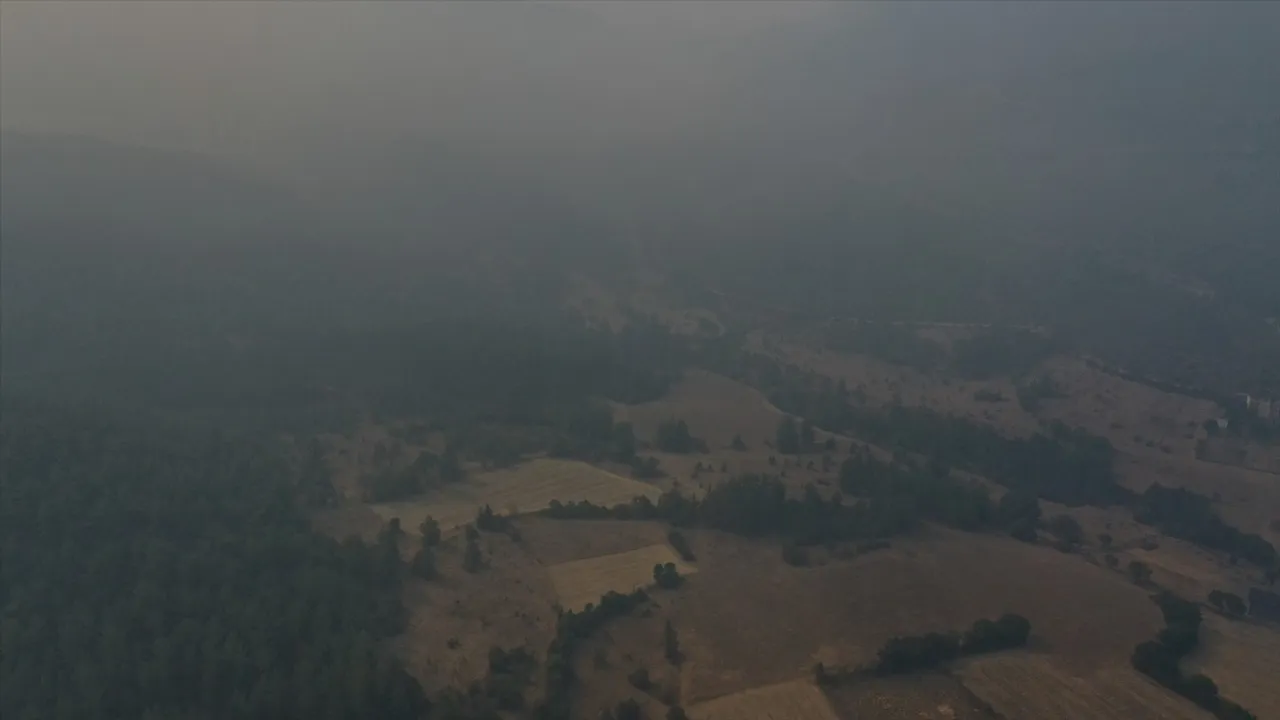Kastamonu'da Orman Yangınları ve Mücadele Süreci