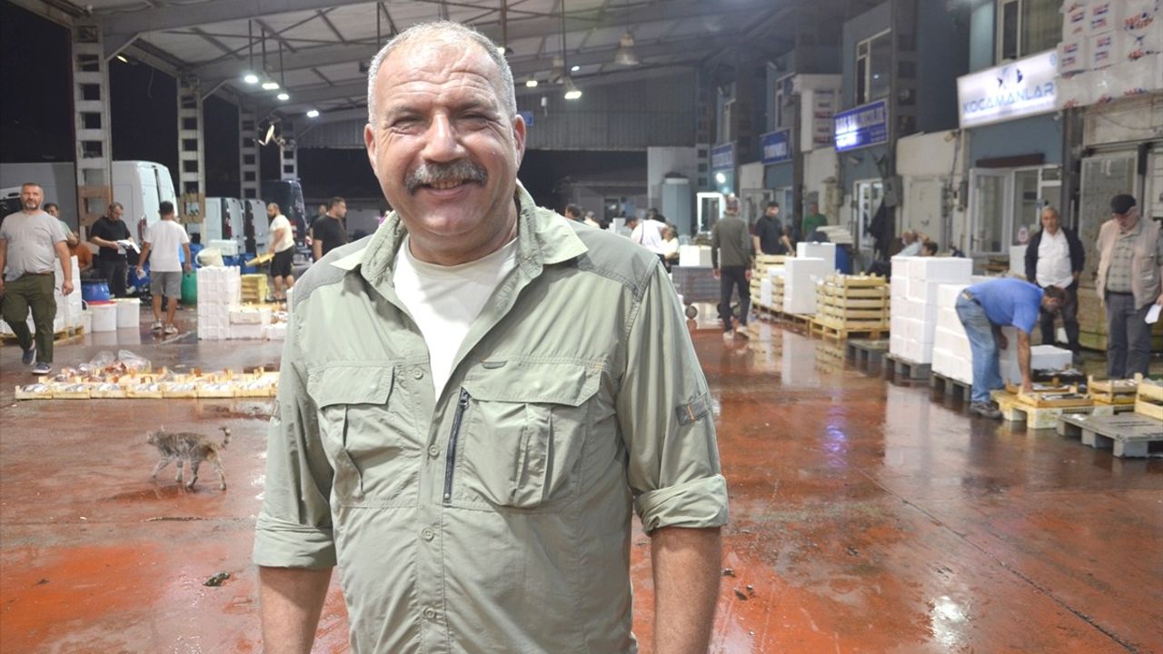 Kocaeli'de Balık Mezadı Sezonu Açıldı
