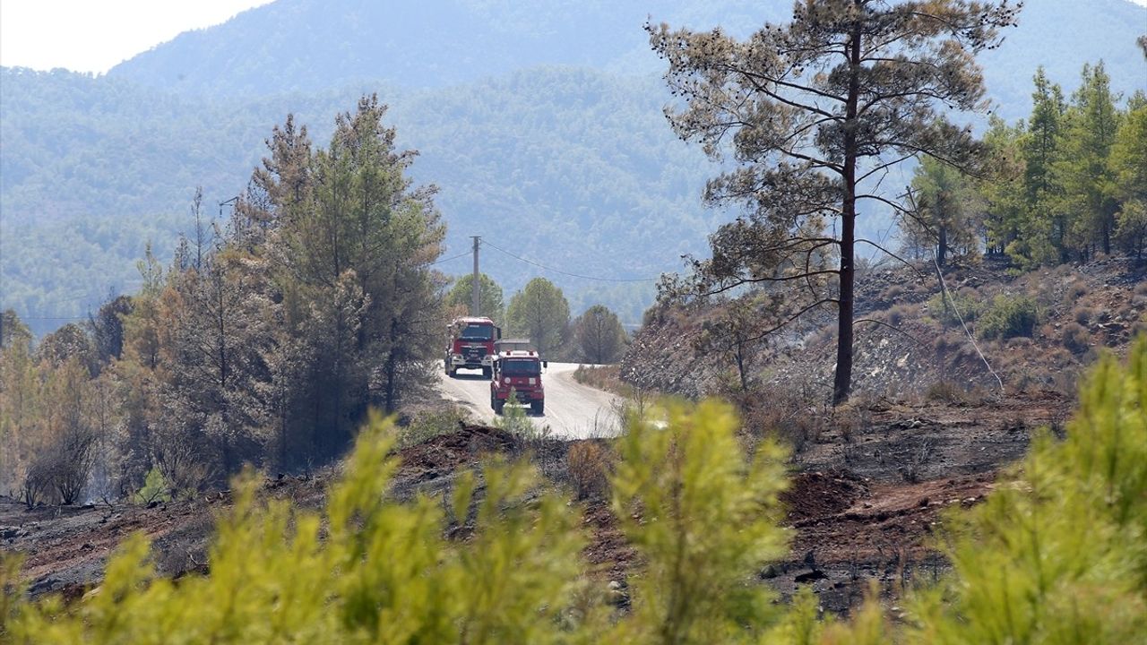 Köyceğiz Orman Yangınına Mücadele Devam Ediyor