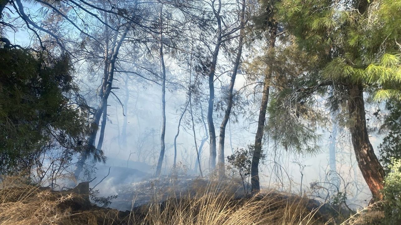 Manavgat'ta Tarım Arazisinden Ormana Ulaşan Yangınla Mücadele Devam Ediyor