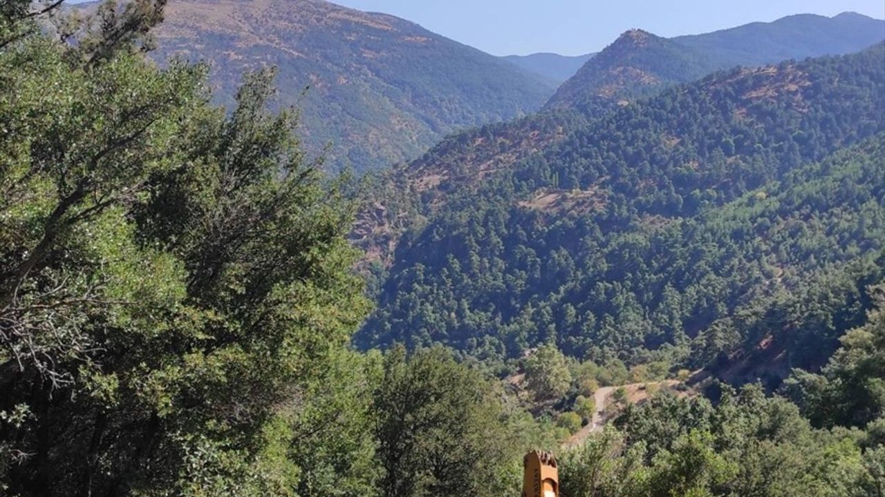 Manisa'da İş Makinesi Kazası: Bir Hayat Kaybedildi