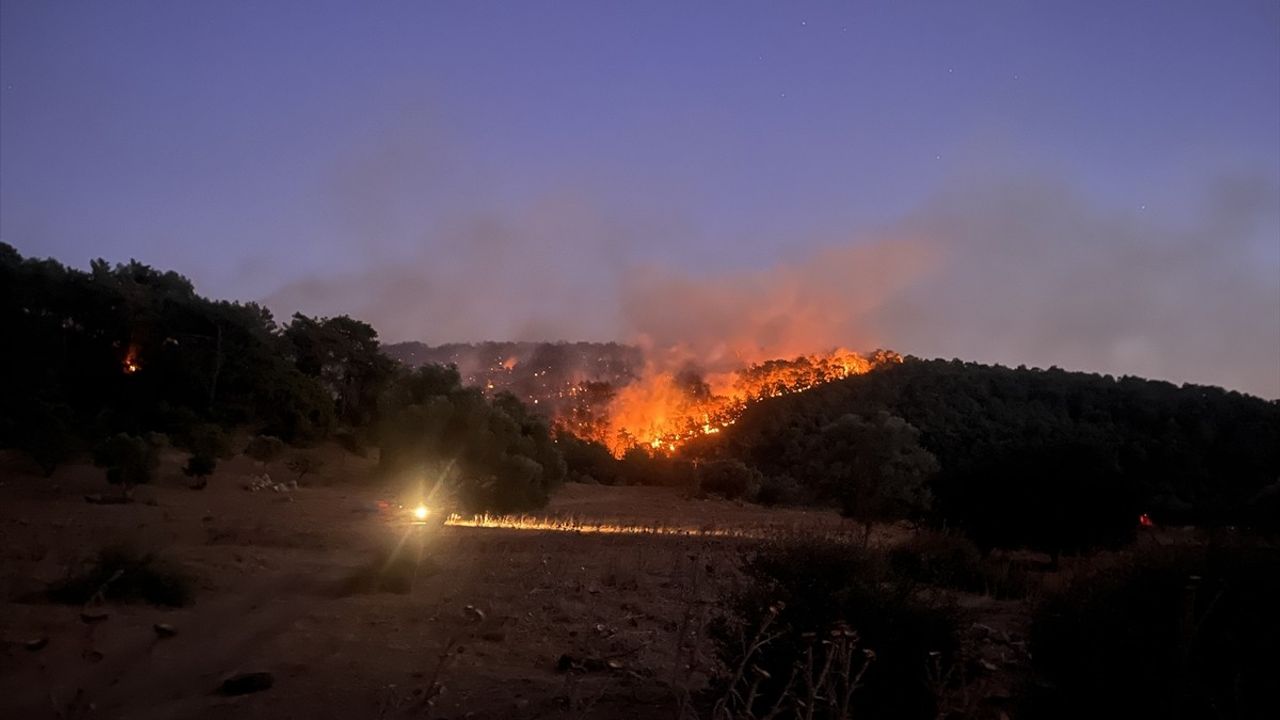 Milas'ta Orman Yangını: Ekipler Gece Boyu Mücadele Ediyor