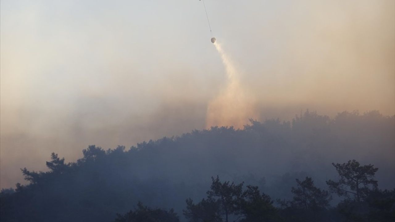 Milas'ta Orman Yangınına Acil Müdahale