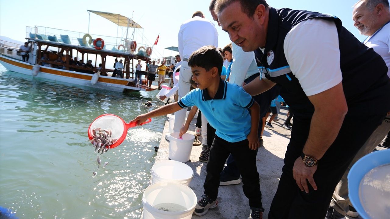 Muğla'da 160 Bin Balık Yavrusu Denizle Buluştu