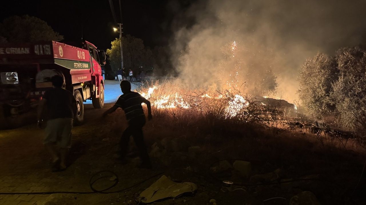 Muğla'da Zeytinlik ve Makilik Alanda Yangın Kontrol Altına Alındı
