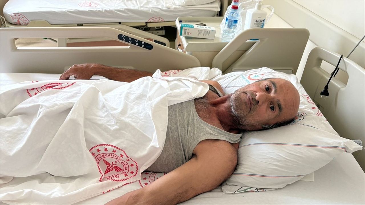 Sakarya'da Ayı Saldırısına Uğrayan Cevat Sunman Olayı Anlattı
