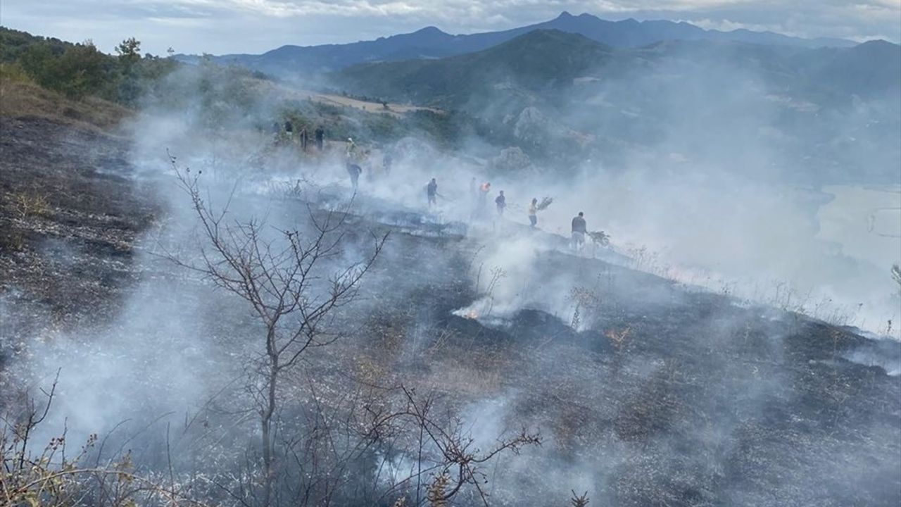 Samsun'da 150 Dekar Alanı Kül Eden Yangın Kontrol Altına Alındı