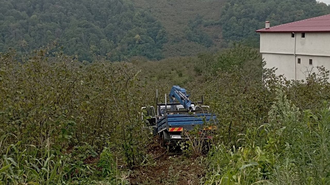 Samsun'da Fındık Bahçesine Yuvarlanan Kamyonette Üç Yaralı