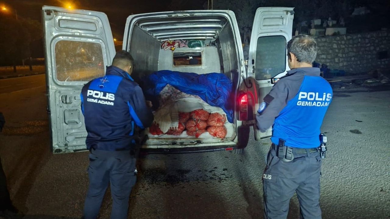 Samsun'da Kaçak Midye Operasyonu: 5 Ton Ele Geçirildi