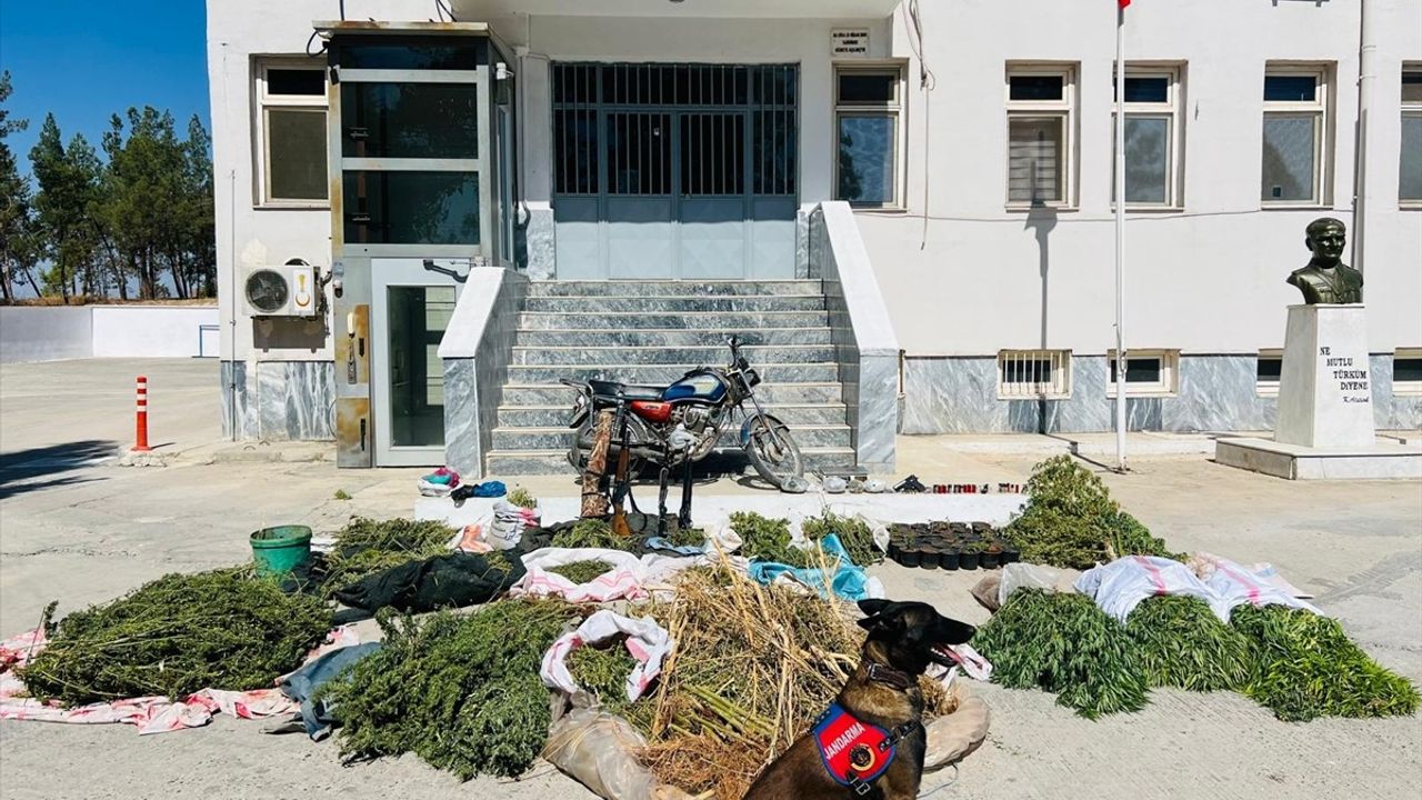 Şanlıurfa'da Uyuşturucu Operasyonu: 3 Gözaltı