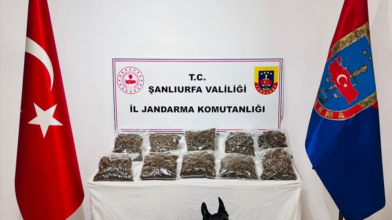 Şanlıurfa'da Uyuşturucu Operasyonu: 6 Zanlı Tutuklandı