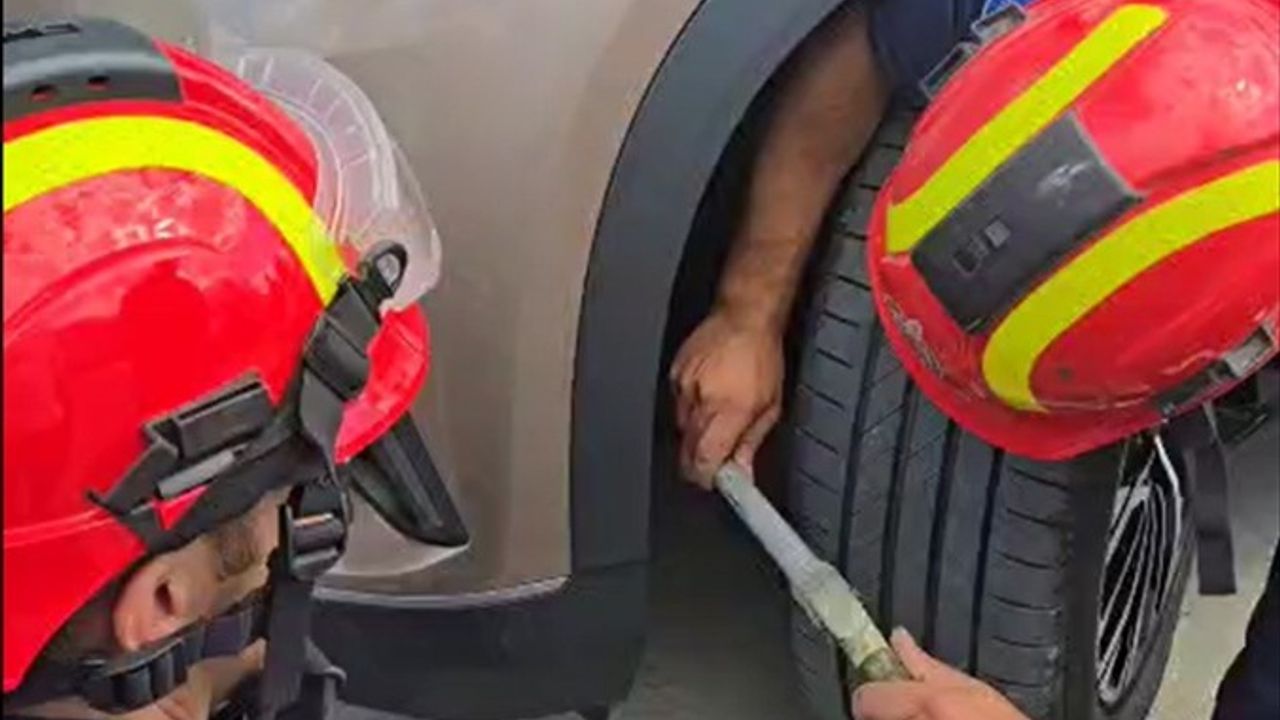 Silivri'de Motor Kısmından 6 Kedi Kurtarıldı