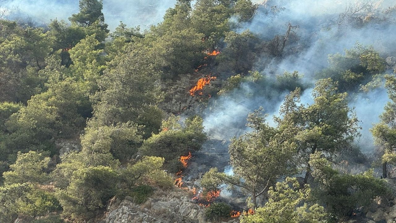 Söke'de Orman Yangınına Hızla Müdahale