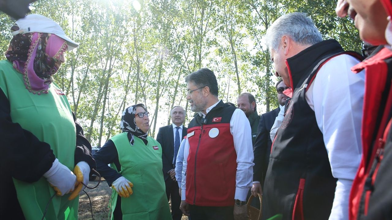 Tarım ve Orman Bakanı Yumaklı'dan Sakarya'da Kivi Hasadı