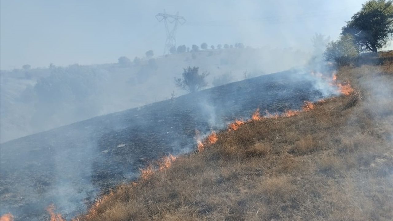 Tokat'ta Makilik Alanda Yangın Çıktı