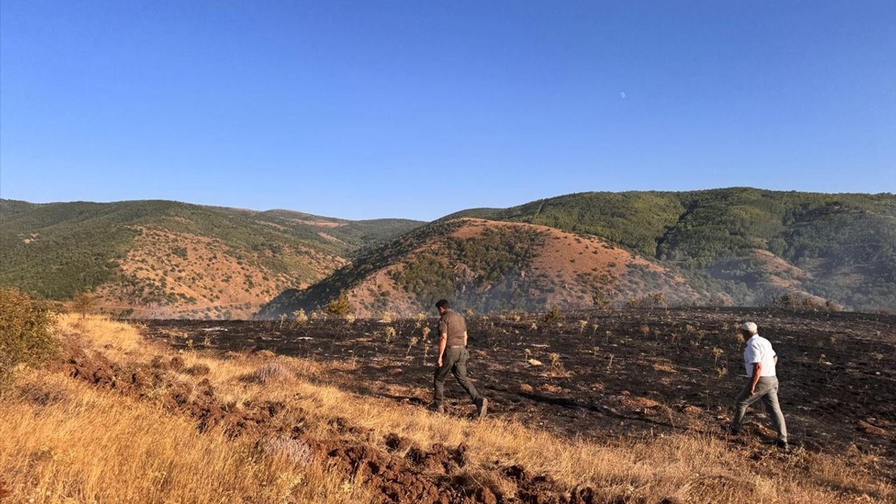 Tokat'ta Orman Yangını: 2 Hektar Zarar Gördü