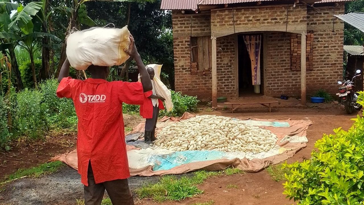 Tüm Afrika'nın Dostları Derneği'nin Mali'deki Modern Tarım Eğitimi
