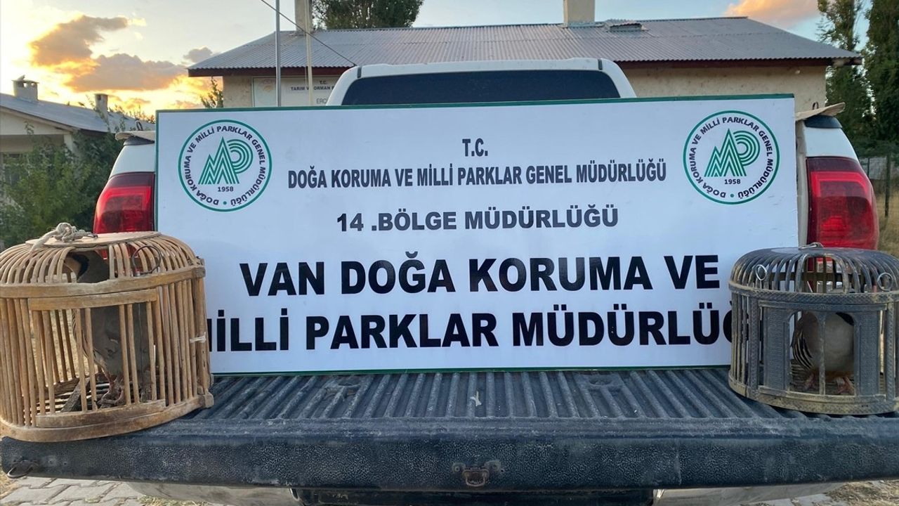 Van'da Kaçak Keklik Avına 48 Bin Lira Ceza
