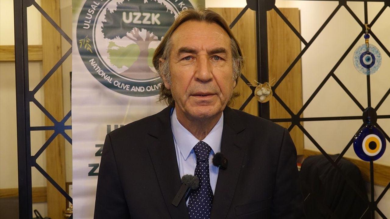 2025-2026 Zeytin Rekoltesi Tahminleri: Türkiye'de 2.45 Milyon Ton Bekleniyor