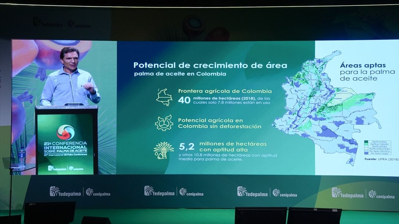 2025 Uluslararası Palmiye Yağı Konferansı Cartagena'da Gerçekleşti