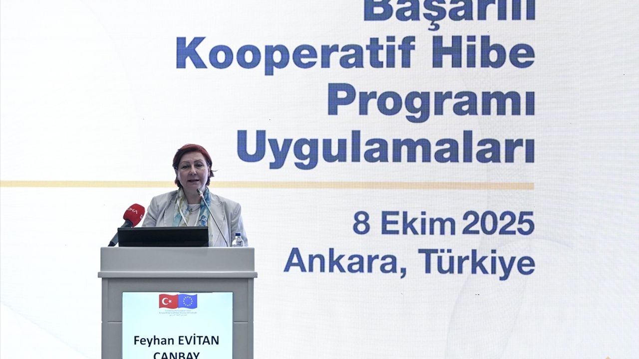 50 Kooperatif ENHANCER Projesi Kapsamında Destek Aldı