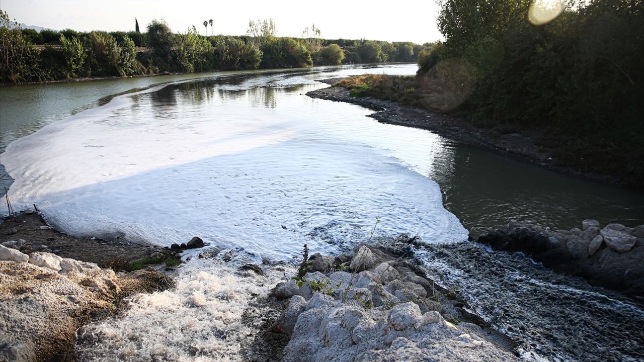 Adana'da Ceyhan Nehri'nde Balık Ölümleri İnceleniyor
