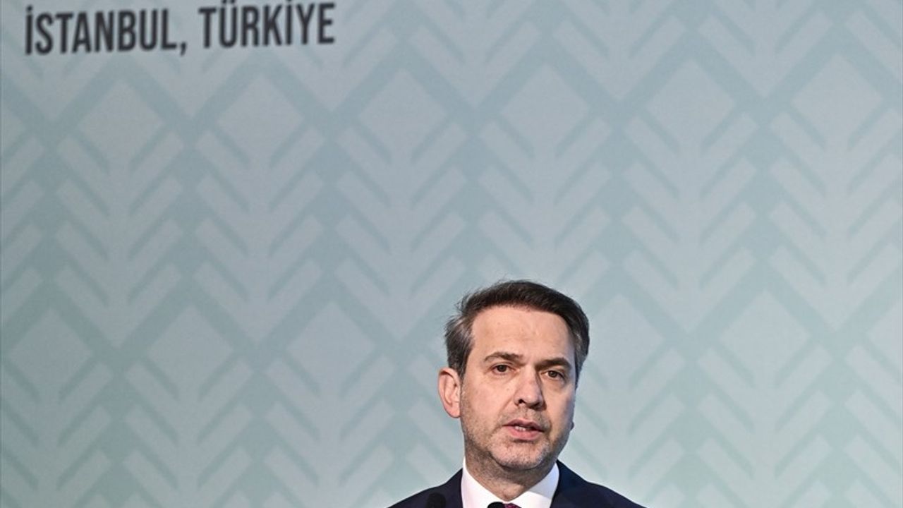 Akkuyu NGS ile Enerji Çeşitlendirme Süreci