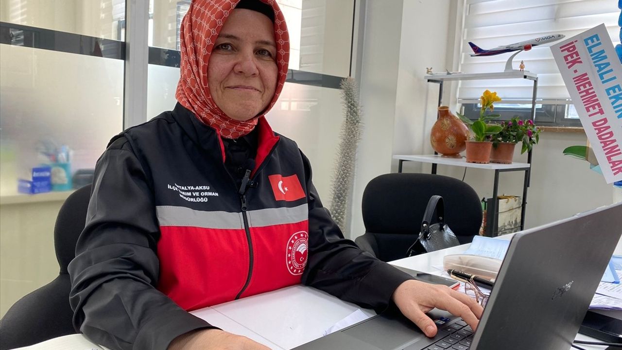 Antalya'da Fırtına ve Yağıştan Zarar Gören Sera Hasar Tespiti Başlatıldı