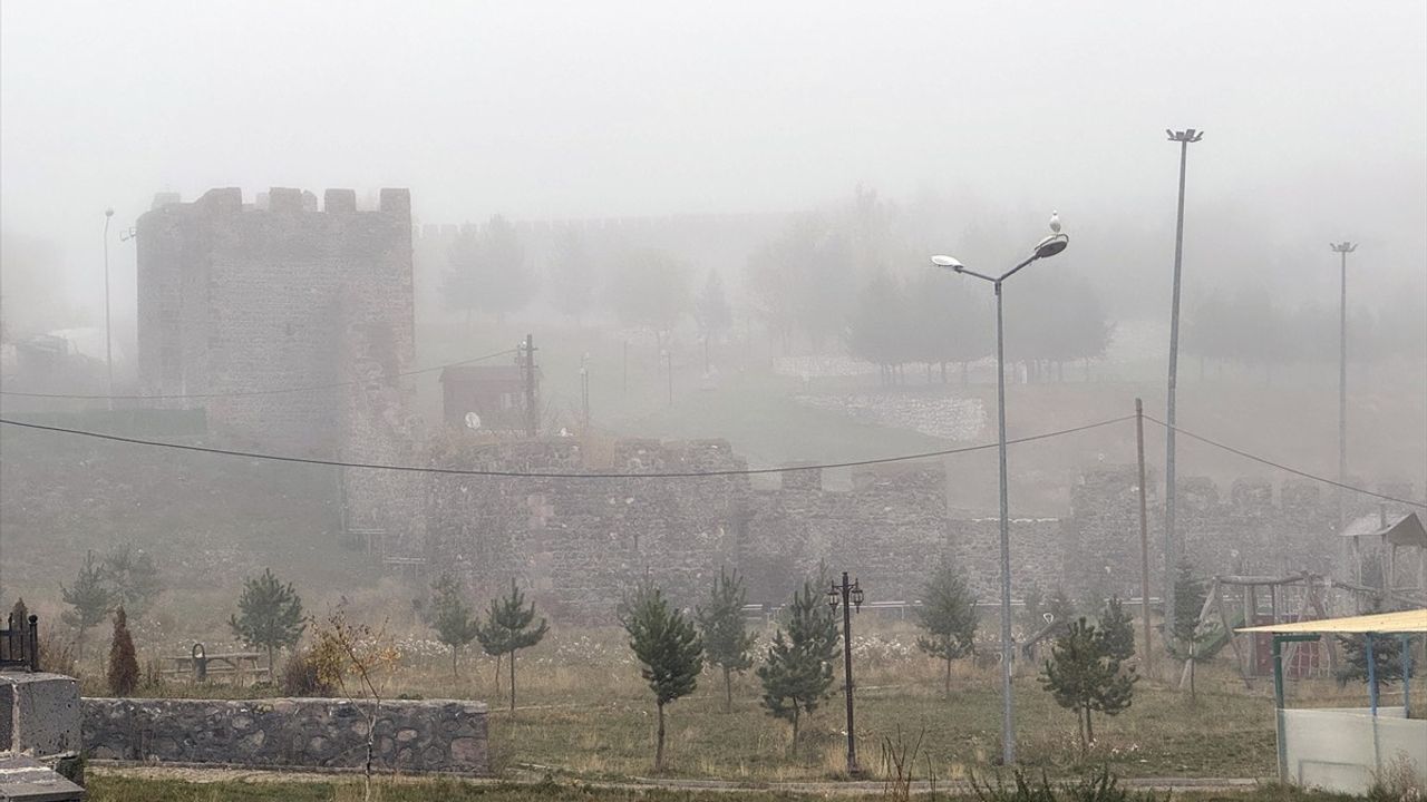 Ardahan'da Sis Etkisi