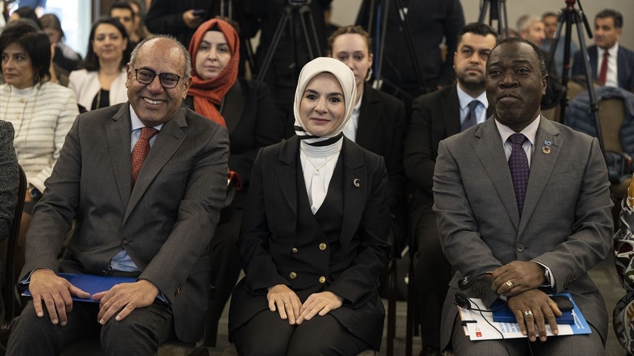 Bakım Ekonomisinde Dönüşüm: BM Ortak Programı Kapanış Toplantısı