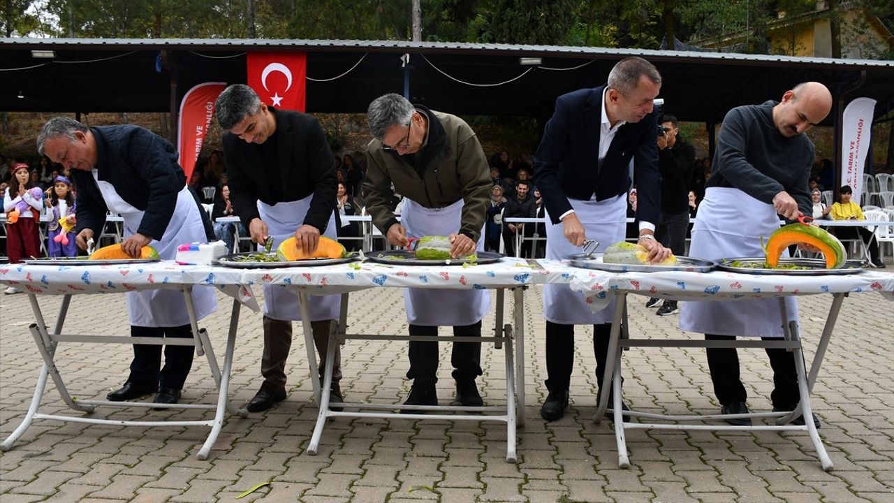 Bilecik'te 8. Kızıldamlar Kestane Kabağı Festivali