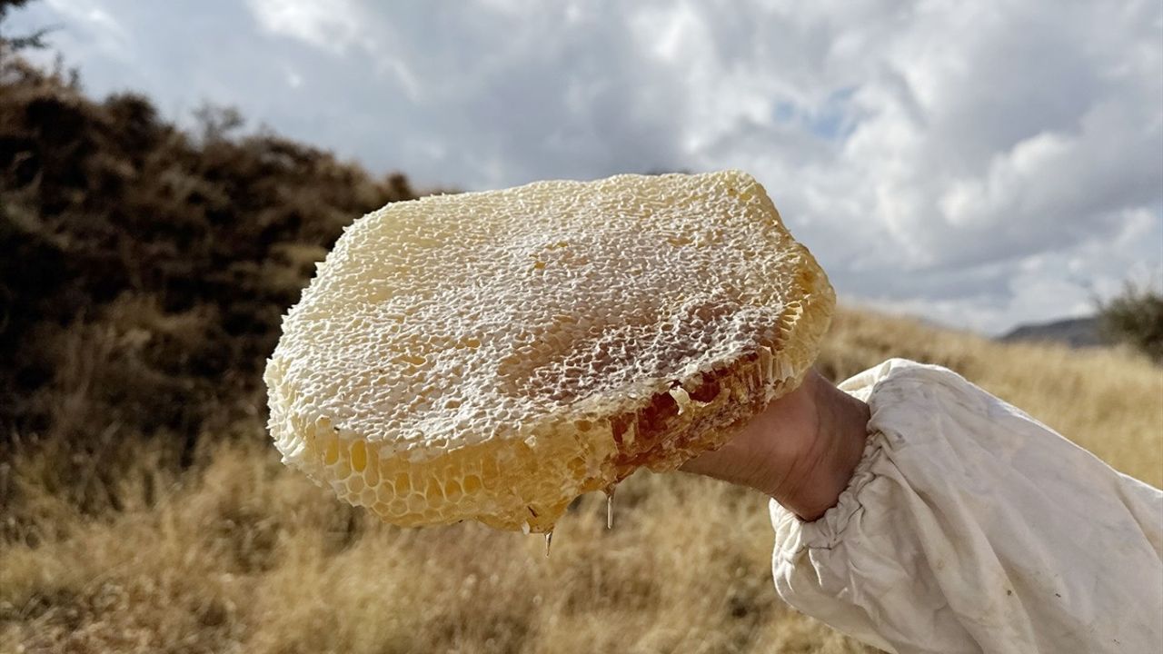 Bitlis'te Karakovan Balı Hasadı Başladı