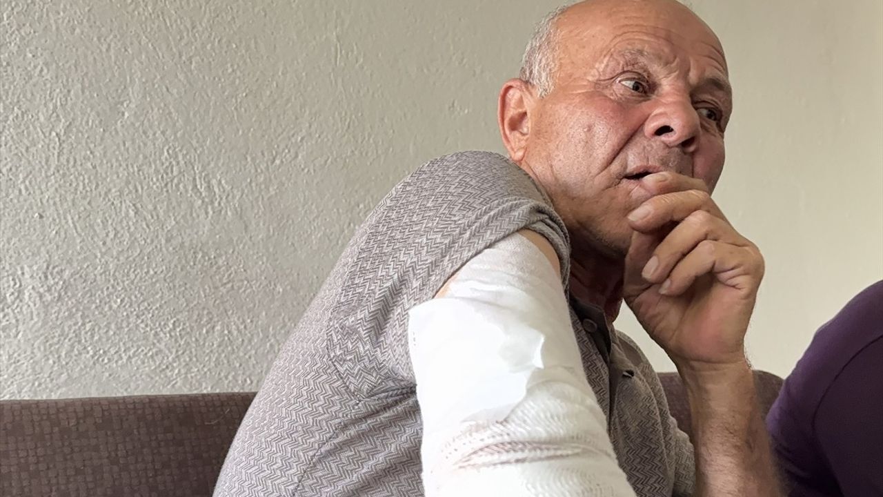 Burdur'da Köpek Saldırısı: Taksici Yaralandı