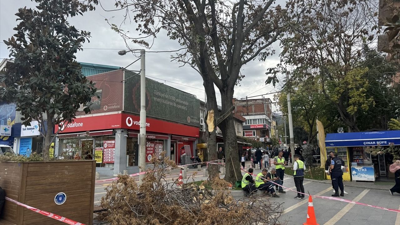 Bursa'da Kuvvetli Lodos Hayatı Olumsuz Etkiledi