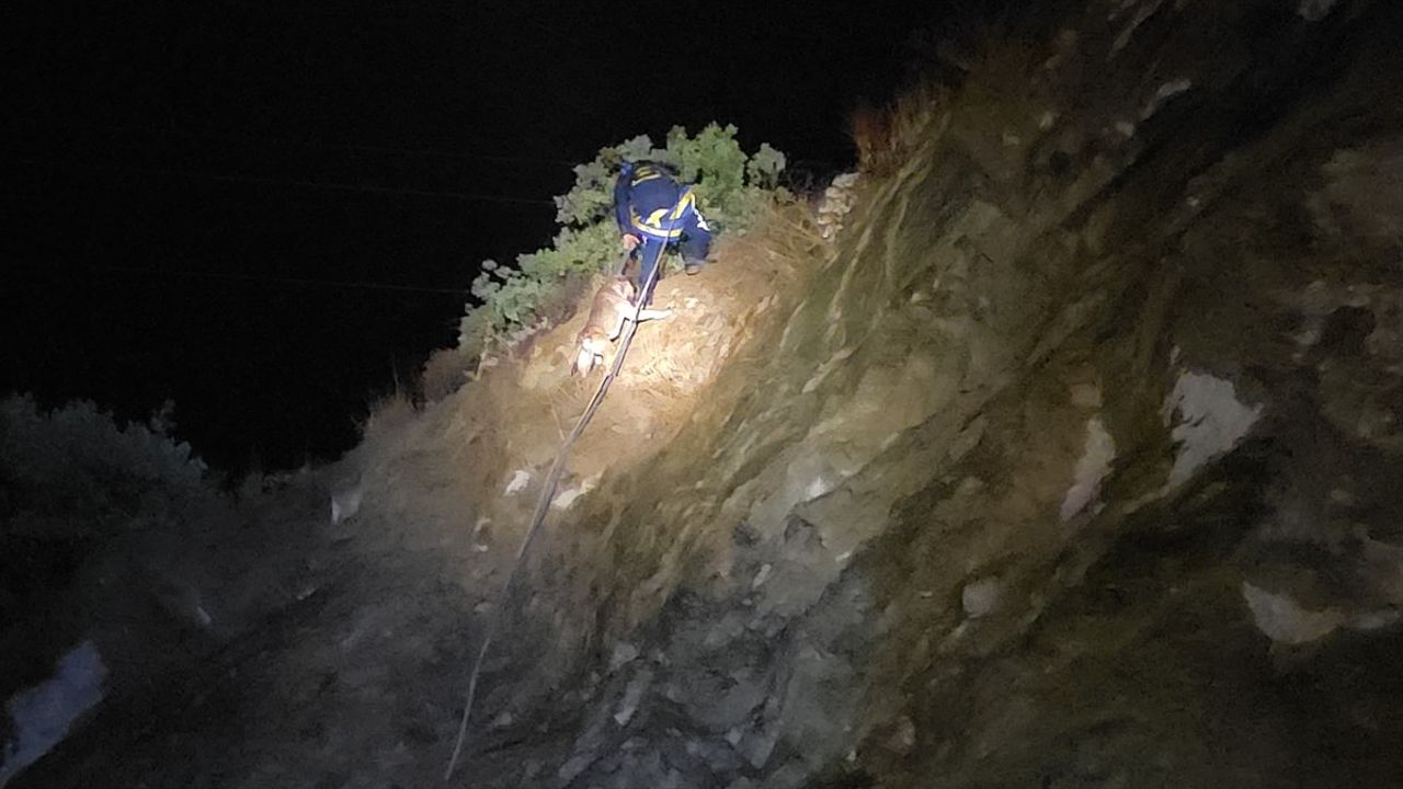 Bursa'da Mahsur Kalan Köpek Kurtarıldı