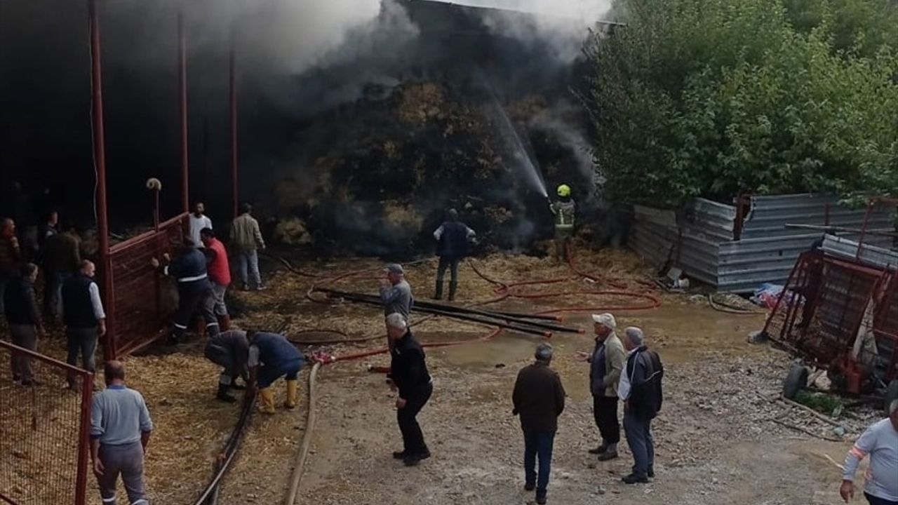 Bursa'da Yangında 170 Küçükbaş Hayvan Telef Oldu