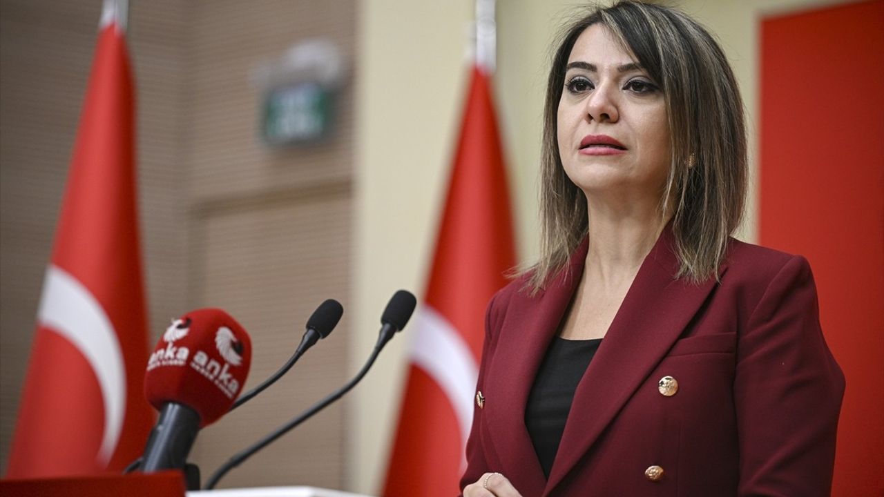 CHP Genel Başkan Yardımcısı Taşcıer'den Sayıştay Raporu Değerlendirmesi