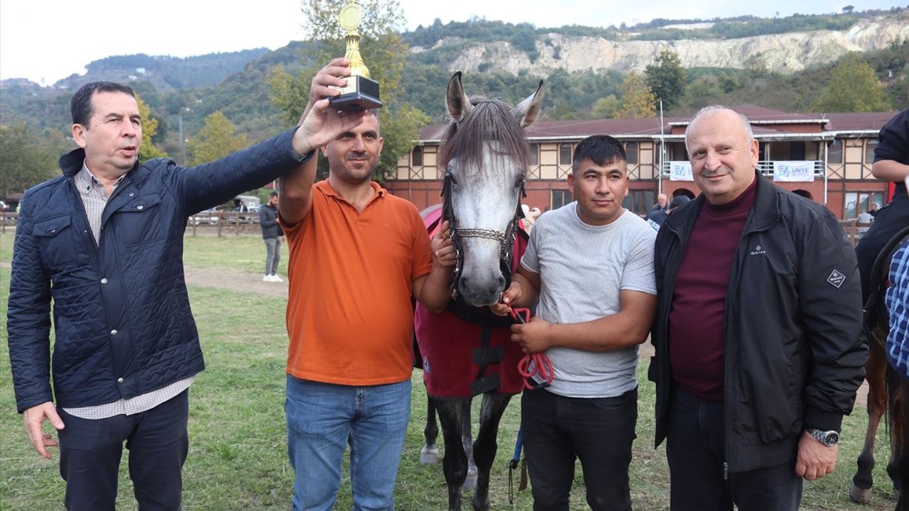 Cumhuriyet Kupası Rahvan At Yarışları Ordu'da Gerçekleşti