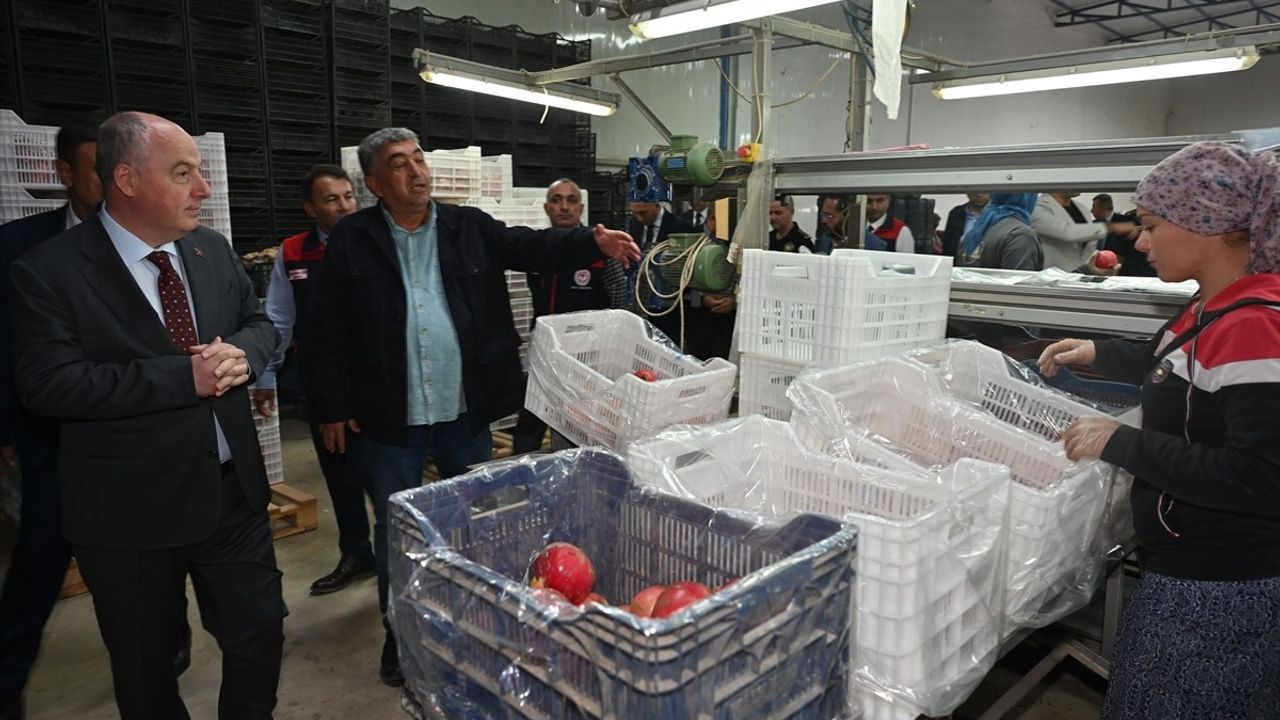 Denizli'de Nar Hasadı Başladı