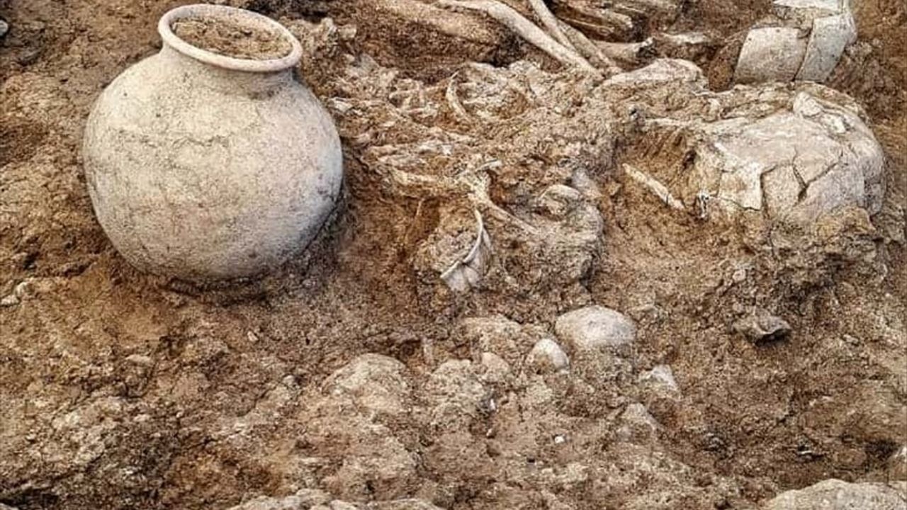 Diyarbakır Çayönü Tepesi'nde Tarihi Buluntular: 8 Mezar Gün Yüzüne Çıktı