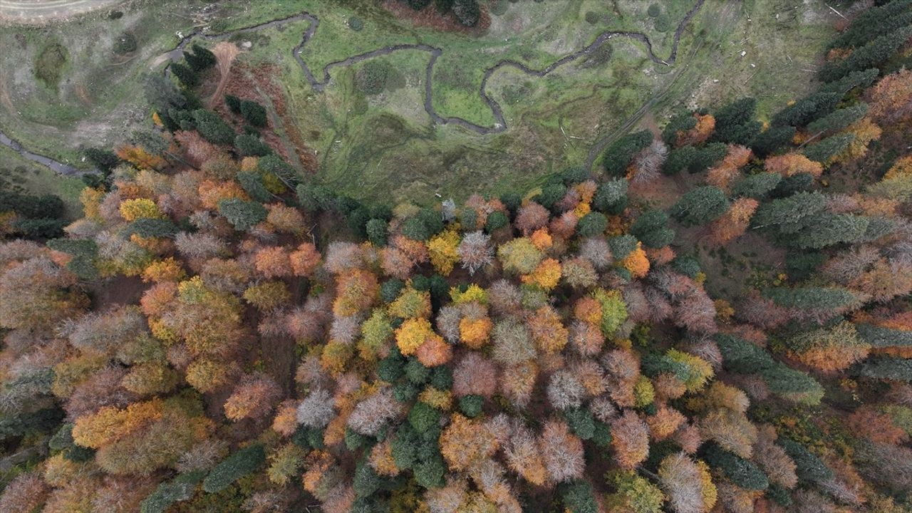 Düzce, Sakarya ve Bolu'daki Sonbahar Güzelliği