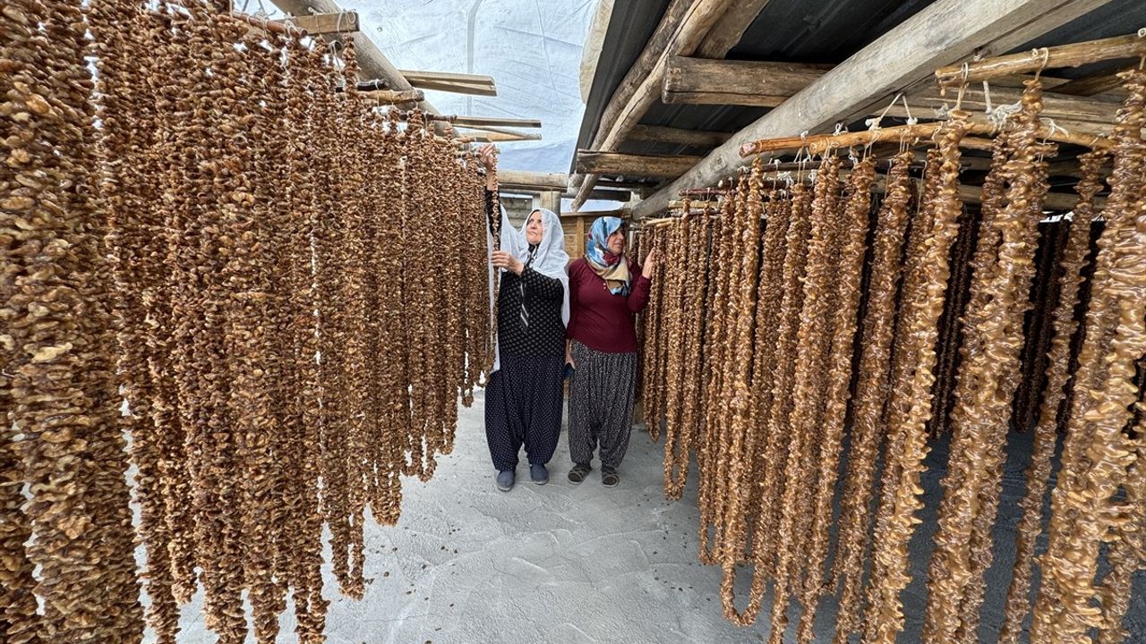 Elazığ'ın Tescilli Orcik Lezzeti İçin Hazırlıklar Başladı