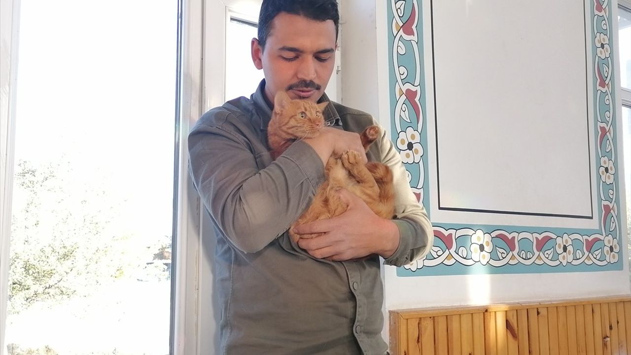 Hayvan Sevgisiyle Örnek İmam: Yunus Çaykara