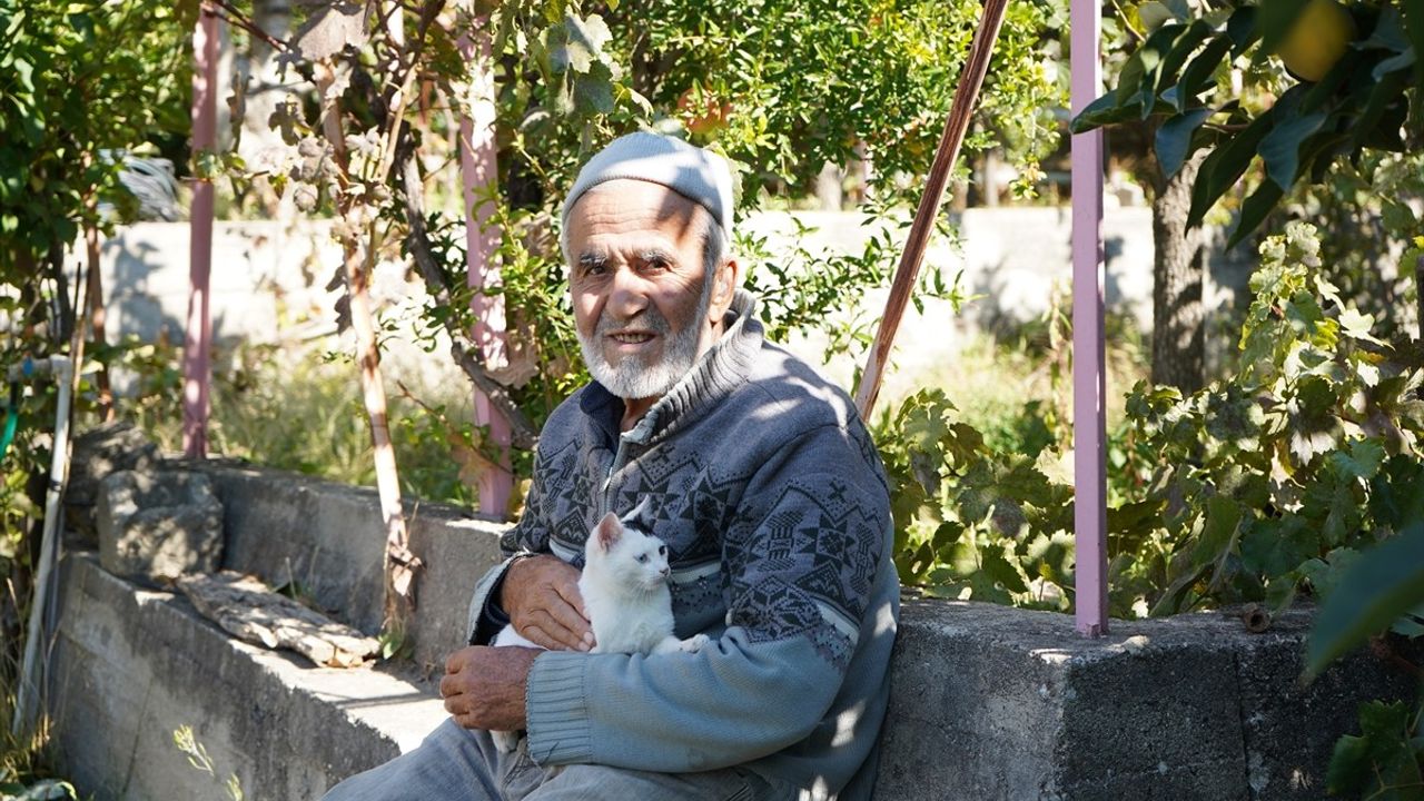 İbrahim Dede'nin Hayır Bahçesi: İyiliği Paylaşarak Büyütmek