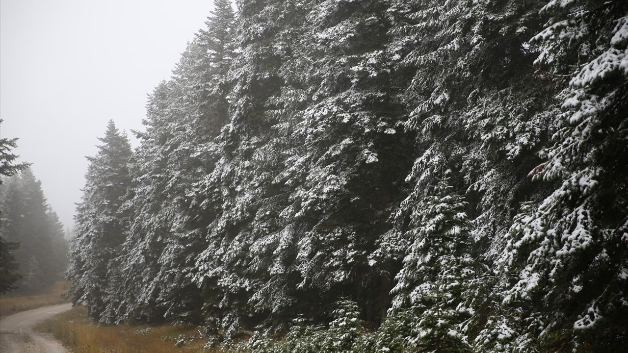Ilgaz Dağı'nda Kış Manzarası: Kar ve Sis Etkisi