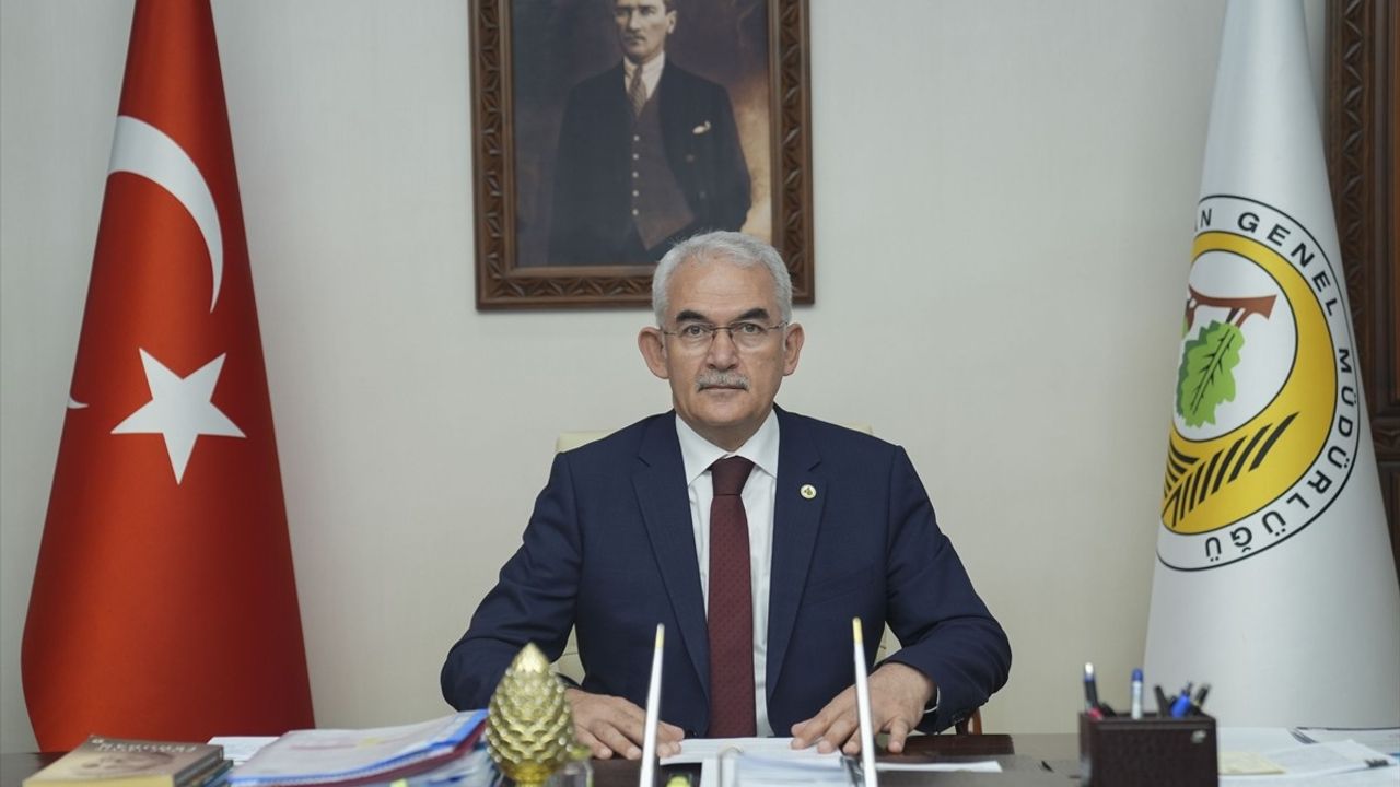 İstanbul Orman İnovasyon Haftası: Küresel Ormancılar Buluşuyor